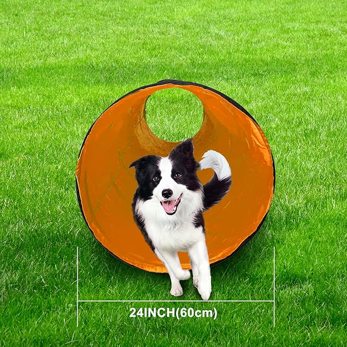 Dog Agility Tunnel, Dog Agility Equipment, Dog Agility Training with Carry Bag (Orange)