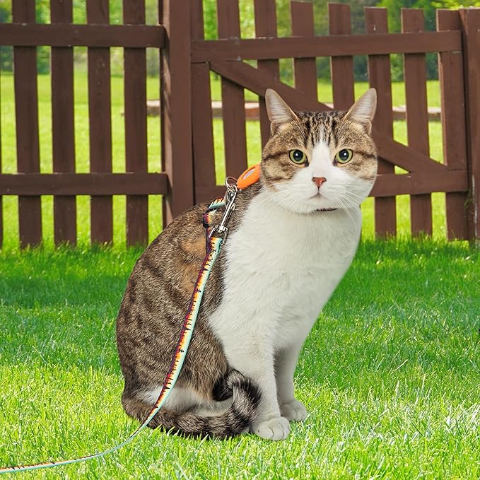 Cat Harness with Airtag Holder and Leash Set, Escape Proof Cat Harness for Walking Traveling Hiking Outdoor, Adjustable Step in Pet Harness for Small Medium Large Cats, Puppy, Kitten