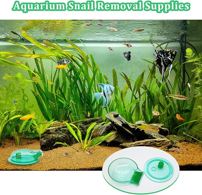 Aquarium Snail Trap, Plastic Snail Catcher for Freshwater Fish Tank Green Snail Catch Box Snail Removal Supplies Aquarium Cleaning Spare Parts Accessories