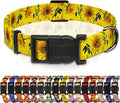 Dog Collar, Floral Boys Girls Puppy Collar for Small Medium Large Dogs, Adjustable Soft Pet Collar with Safety Buckle for Male Females (Yellow Sunflower)
