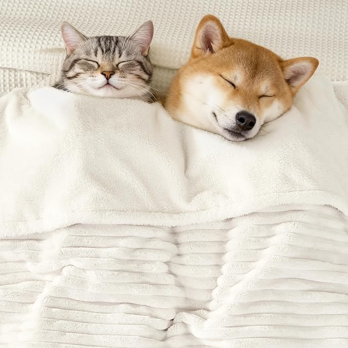 Waterproof Puppy Blankets for Small Dogs - Cozy Fleece Calming Cat Blanket for Couch Furniture Protector, Washable Dog Blankets for Indoors & Outdoors, Cream, 25"x35"