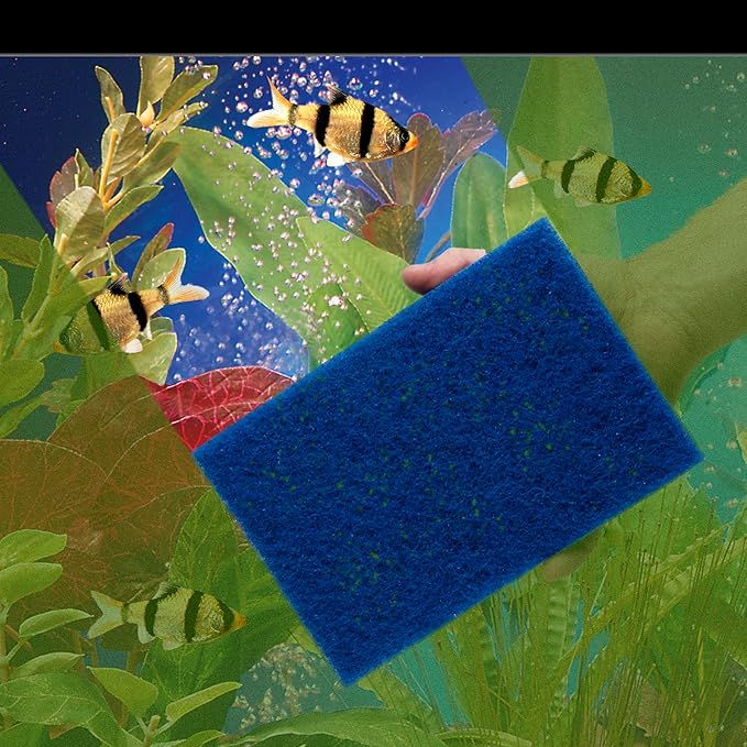 Penn-Plax WZP3 Wizard Scrubber Pad – for Glass Tanks Will not Scratch Aquarium Surfaces – Removes Accumulated Grime - 6” x 9”