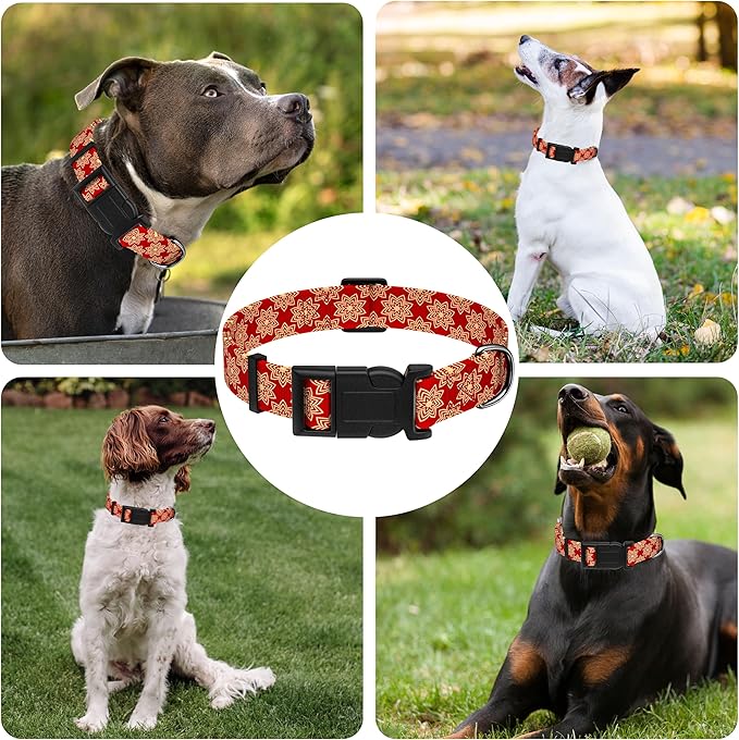 Dog Collar, Classical Indian Spirit Boys Girls Puppy Collar for Small Medium Large Dogs, Adjustable Soft Indian Pet Collar with Safety Buckle for Male Females(Red,XL)
