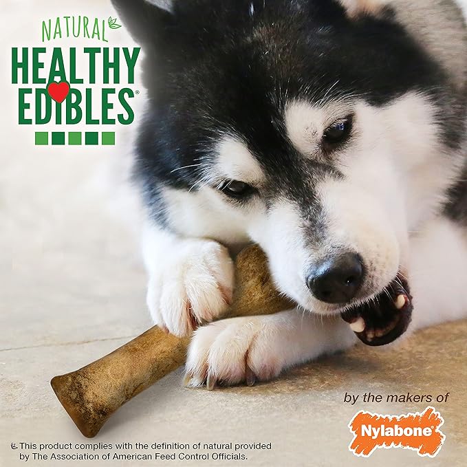 Nylabone Healthy Edibles Natural Dog Chews, Long Lasting Bones for Dogs, Chicken Flavor Dog Treats, X-Large (1 Count)