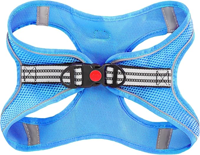 ROYPET Step-in Air Dog Harness, All Weather Mesh Step in Vest Harness for Small and Medidum Dogs and Cats, Adjustable Soft Padded Dog Vest with Easy Control Handle for Dogs Pets (Azure, S)