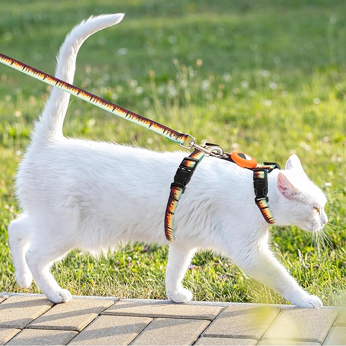 Cat Harness with Airtag Holder and Leash Set, Escape Proof Cat Harness for Walking Traveling Hiking Outdoor, Adjustable Step in Pet Harness for Small Medium Large Cats, Puppy, Kitten