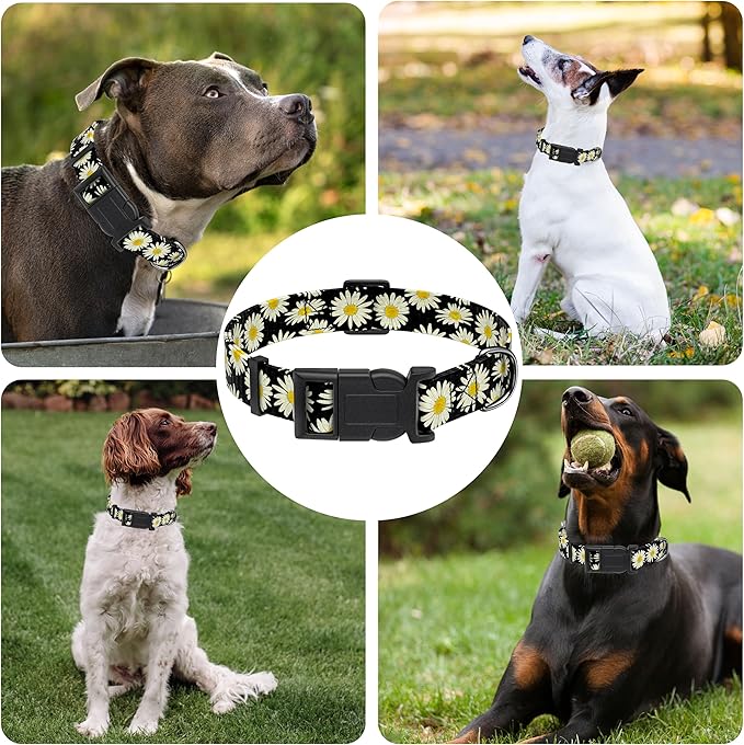 Dog Collar, Daisy Boys Girls Puppy Collar for Small Medium Large Dogs, Adjustable Soft Floral Pet Collar with Safety Buckle for Male Females(Black Daisy,L)