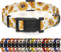 Dog Collar, Floral Boys Girls Puppy Collar for Small Medium Large Dogs, Adjustable Soft Pet Collar with Safety Buckle for Male Females (White Sunflower, M)