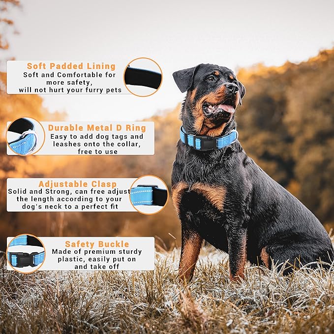 2 Pack Reflective Dog Collar with Safety Locking Buckle, Adjustable Soft Breathable Comfortable Nylon Pet Collar for Small, Medium and Large Dogs, SkyBlue, L