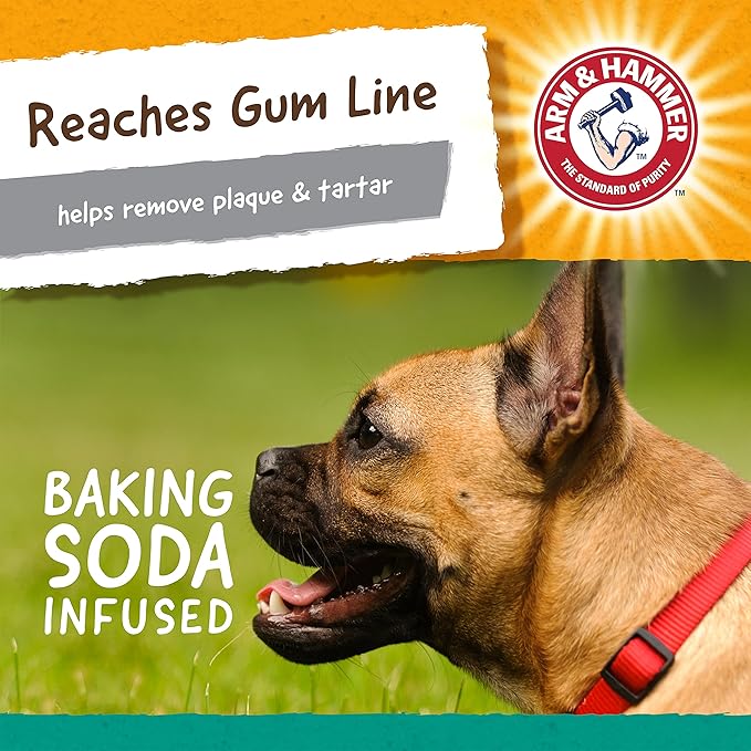 Arm & Hammer Nubbies T-Bone Dental Dog Chew Toy with Peanut Butter Flavor, Textured Chew Toy Designed to Help Clean Teeth and Support Oral Care for Dogs Up to 35 lbs - 24 Pack