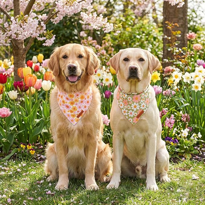 ADOGGYGO Floral Dog Bandanas 2 Pack, Daisy Flower Pet Scarf, Premium Fabric, Adjustable Fit Spring Summer Floral Bandanas for Extra Large Dogs (X-Large)