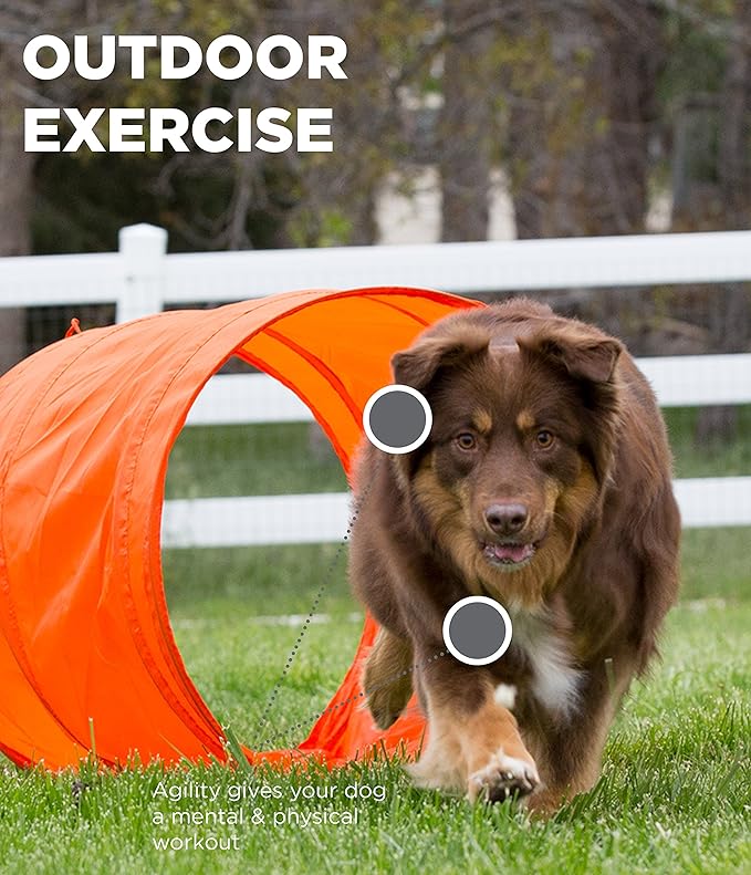 Outward Hound Zip & Zoom Outdoor Dog Agility Training Kit for Dogs