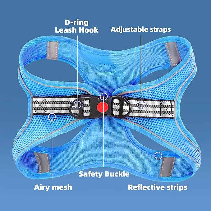 ROYPET Step-in Air Dog Harness, All Weather Mesh Step in Vest Harness for Small and Medidum Dogs and Cats, Adjustable Soft Padded Dog Vest with Easy Control Handle for Dogs Pets (Azure, M)