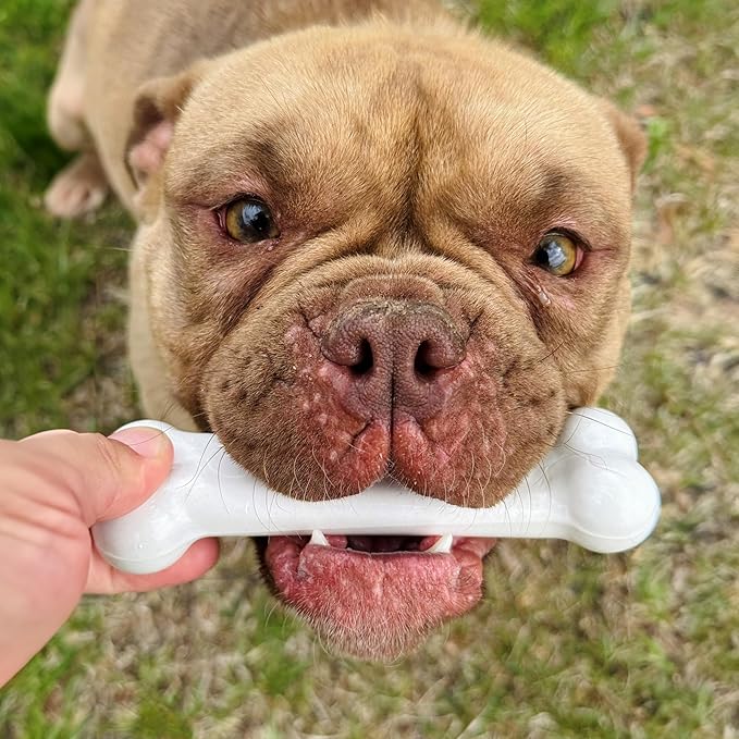 Nylabone Original Bone Power Chew Toy for Dogs, Durable & Tough Dog Toys for Aggressive Chewers, Chicken Flavor, Small - Up to 25 Ibs, 1 Count