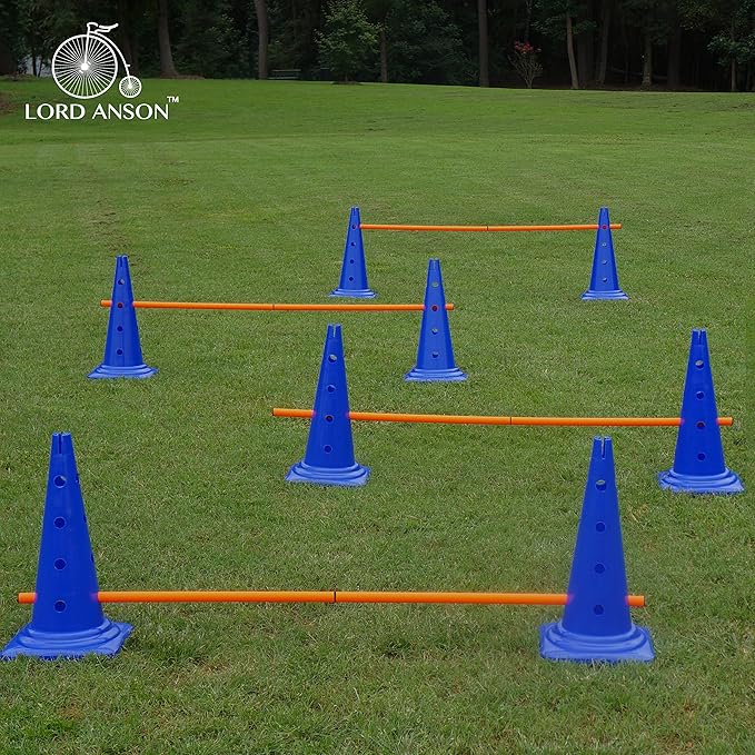 Dog Agility Hurdle Cone Set - Canine Training Set - Obedience, Rehabilitation - 16 Cones and 8 Rods